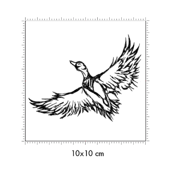 10 x 10 cm