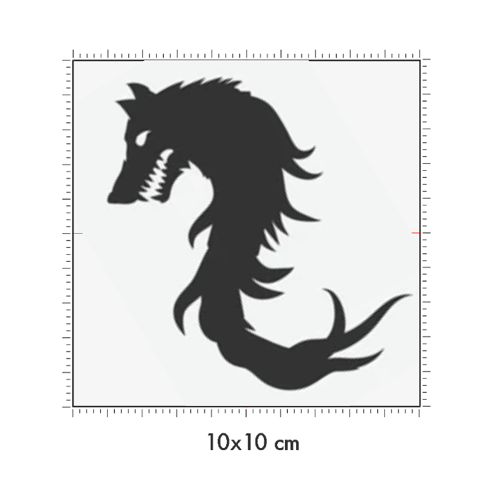 10 x 10 cm
