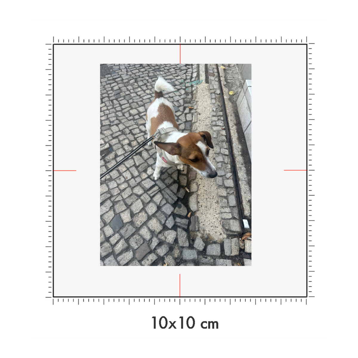 10 x 10 cm