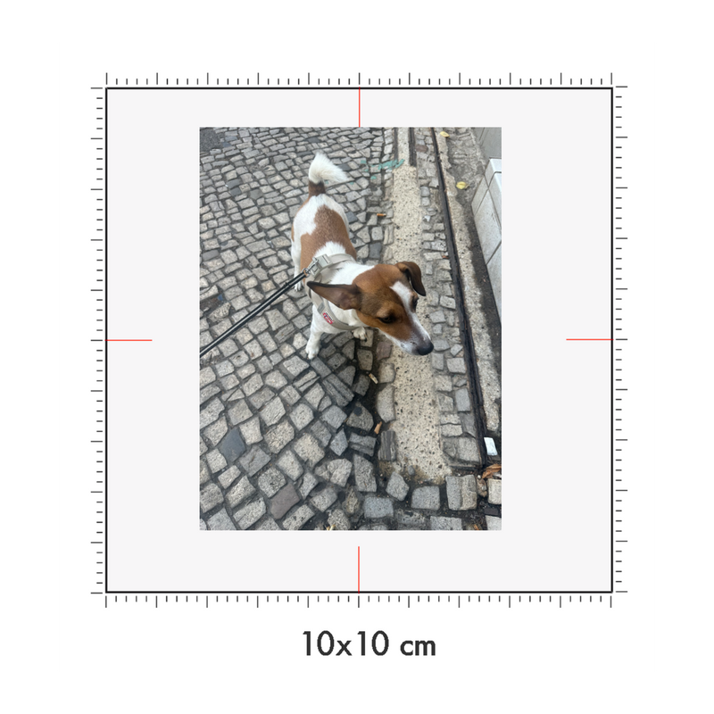 10 x 10 cm