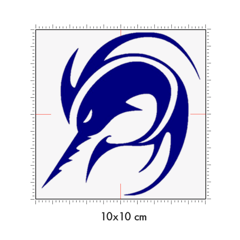 10 x 10 cm