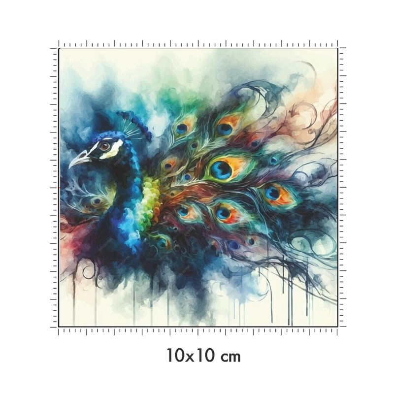10 x 10 cm