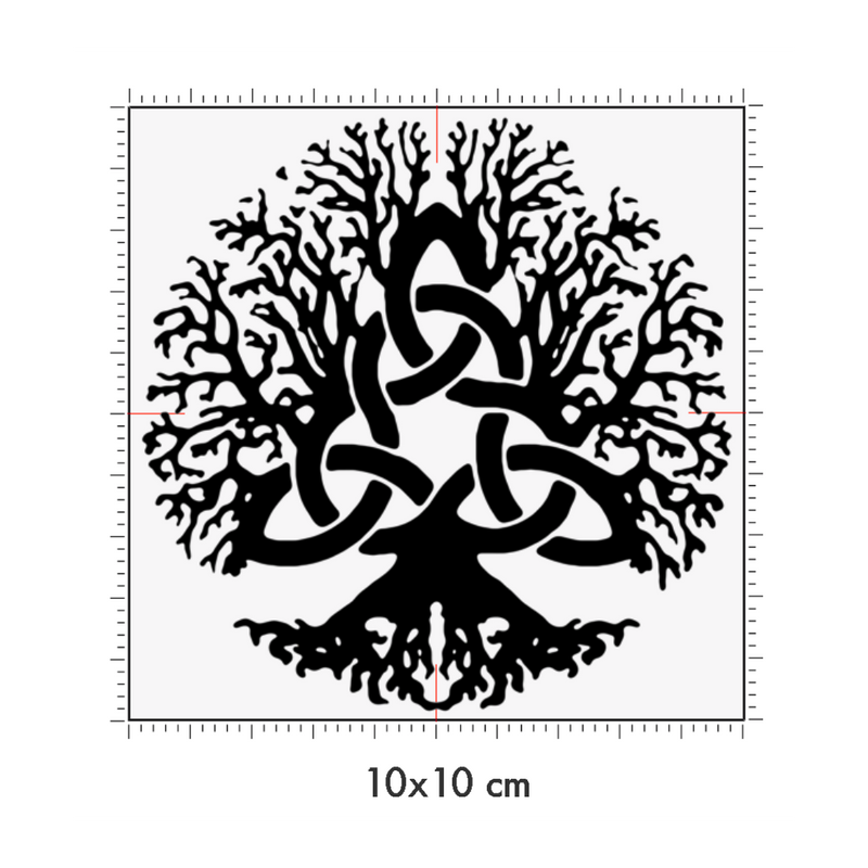 10 x 10 cm