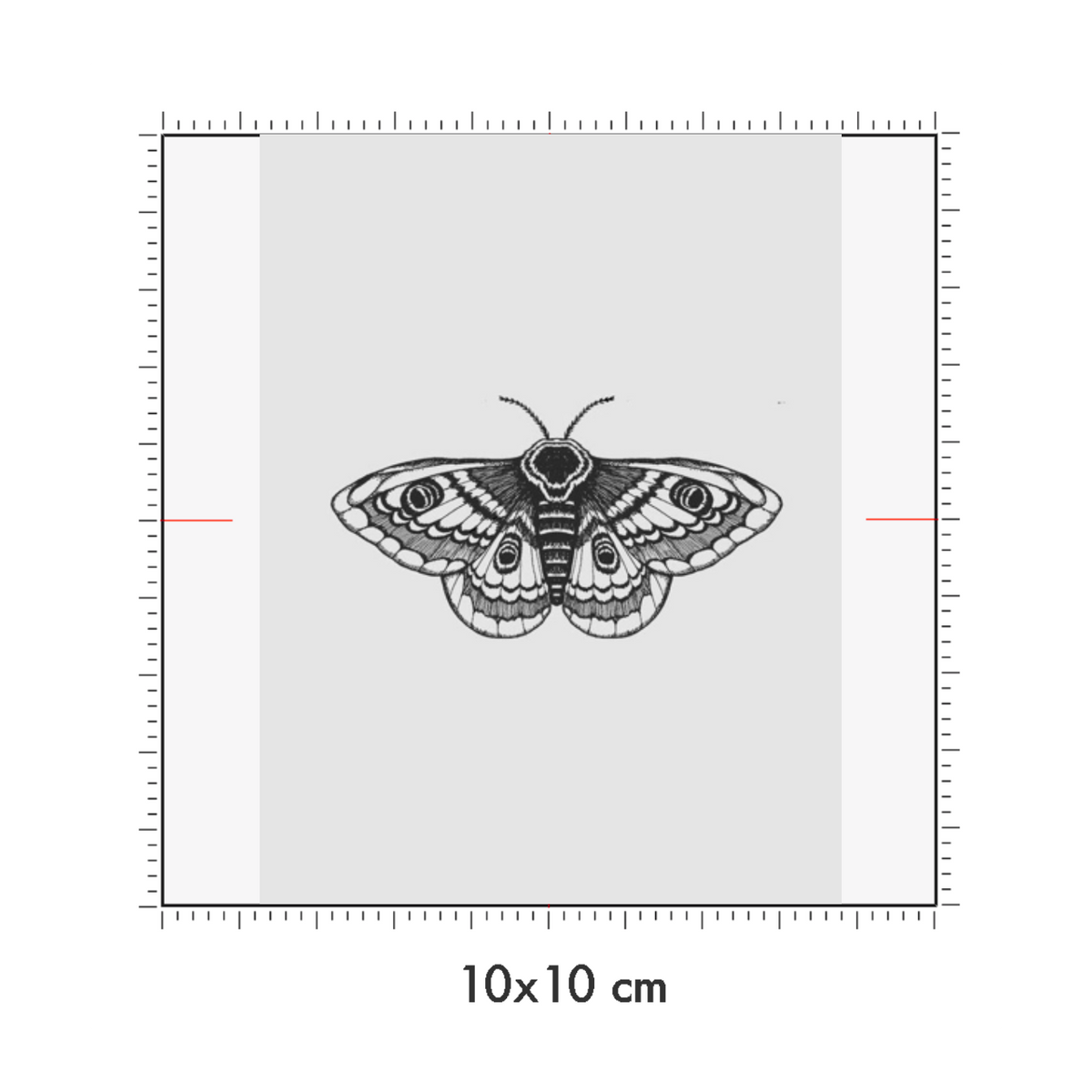 10 x 10 cm