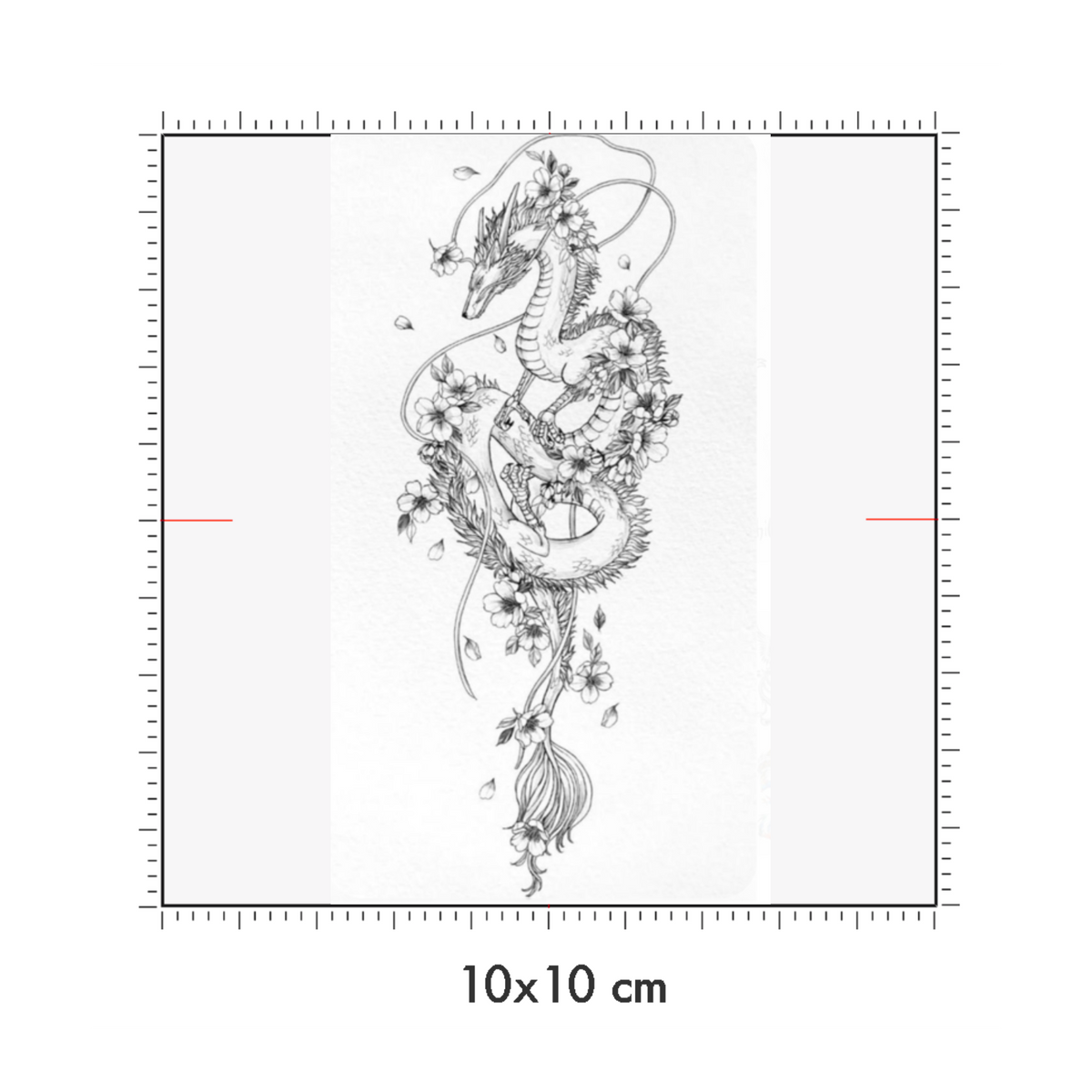 10 x 10 cm