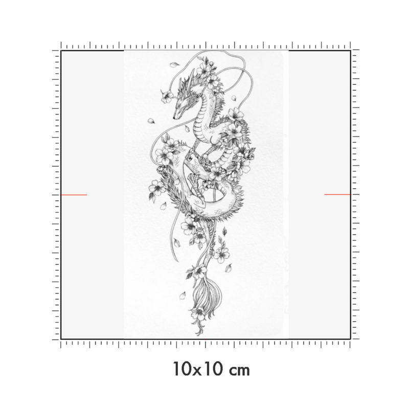 10 x 10 cm