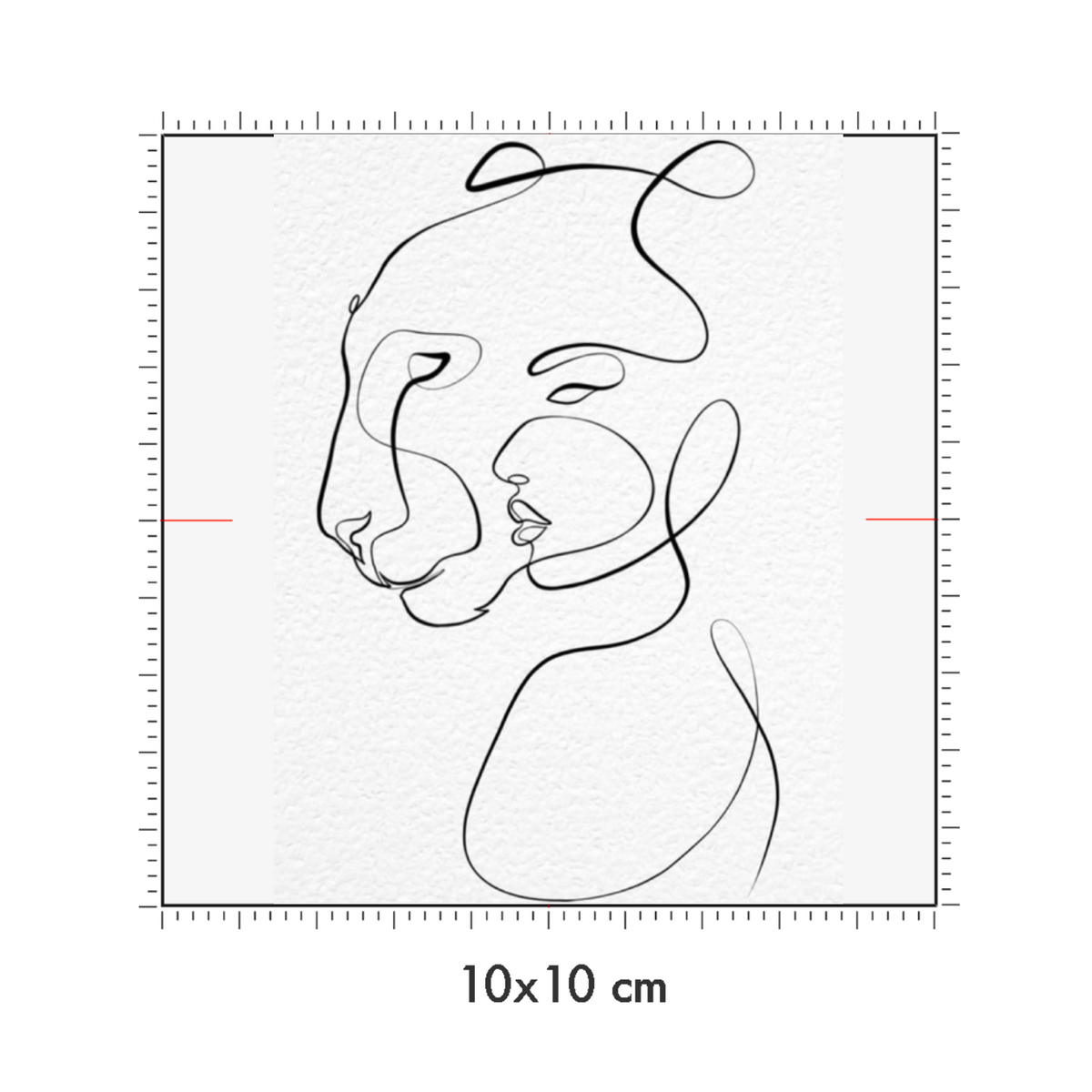 10 x 10 cm