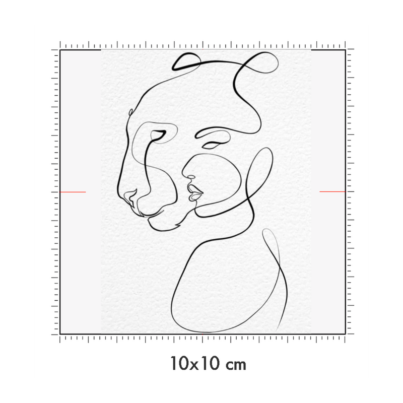 10 x 10 cm