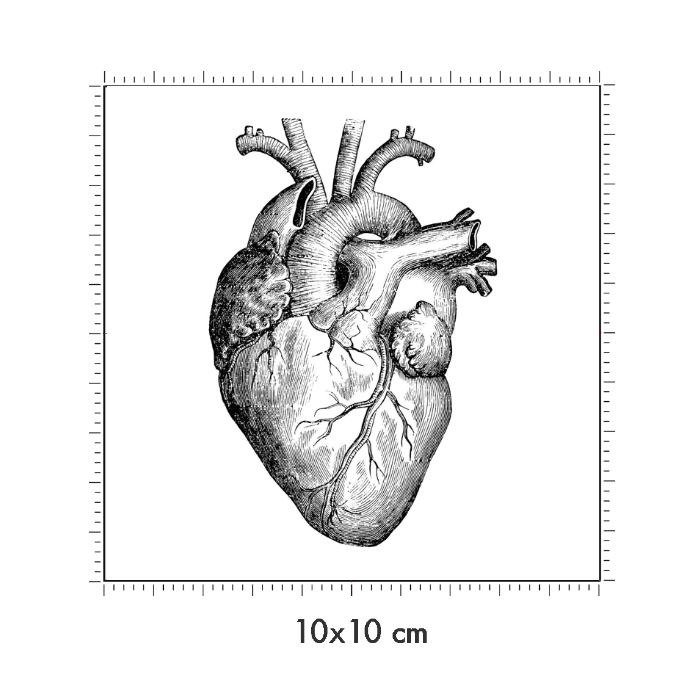 10 x 10 cm