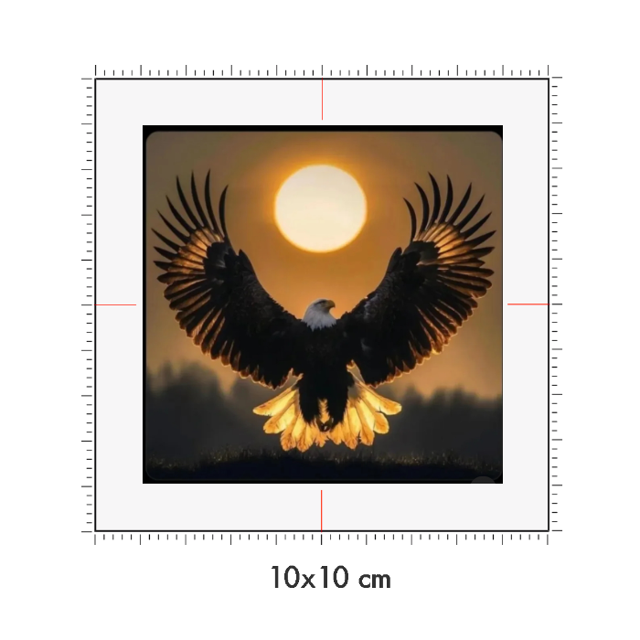 10 x 10 cm