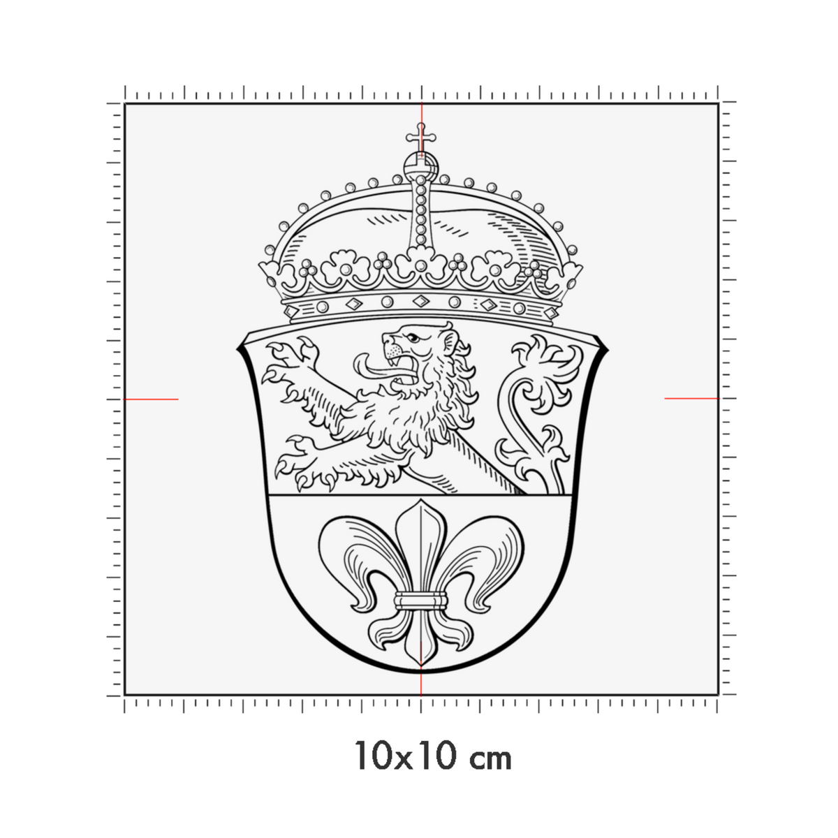 10 x 10 cm