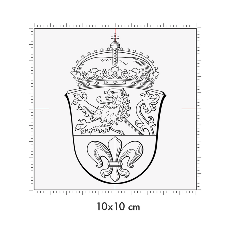 10 x 10 cm