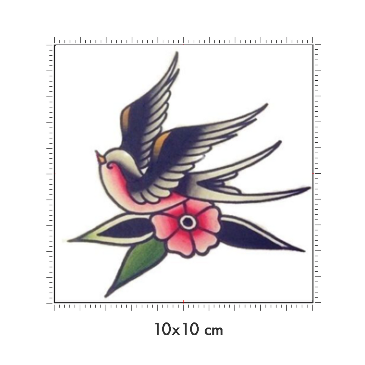10 x 10 cm