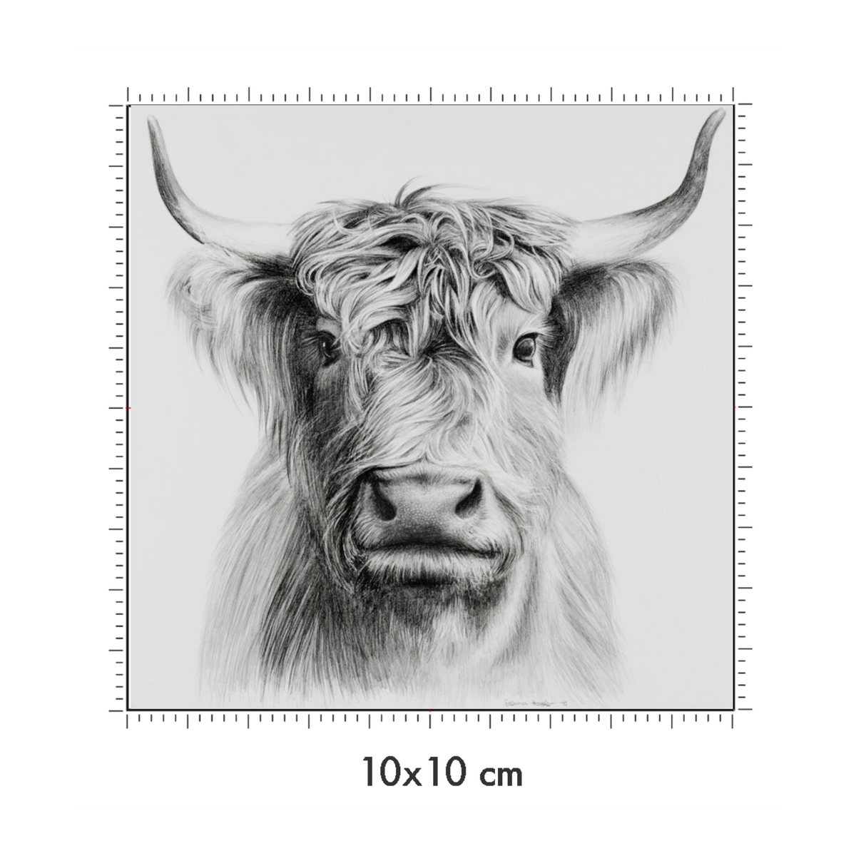 10 x 10 cm