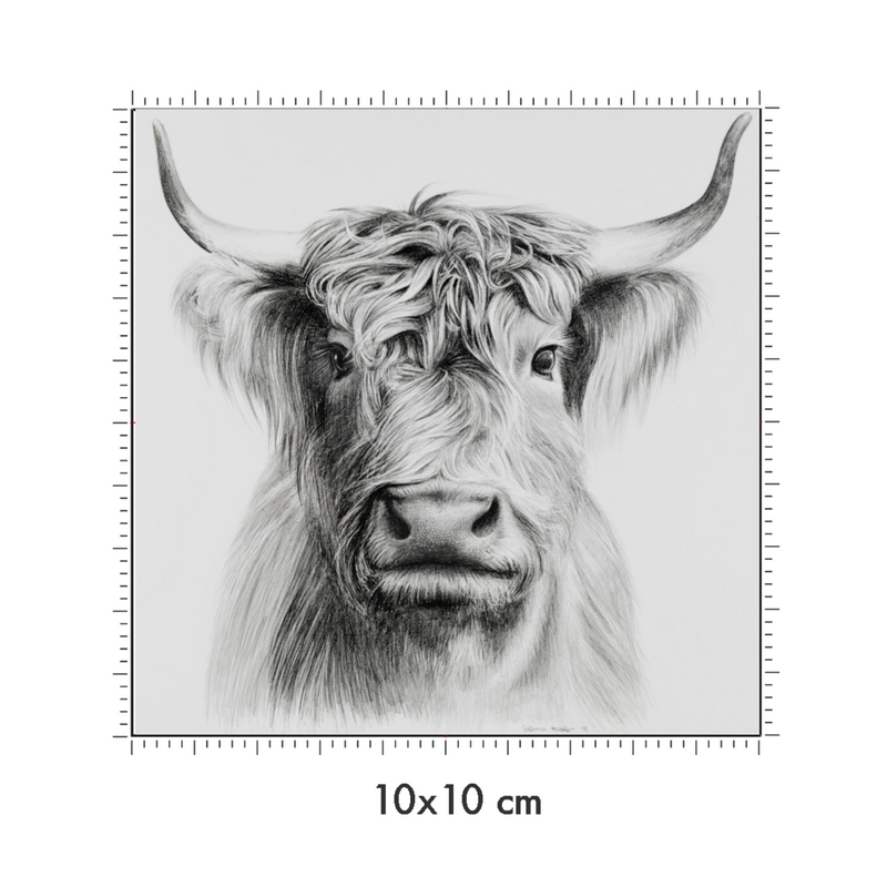10 x 10 cm