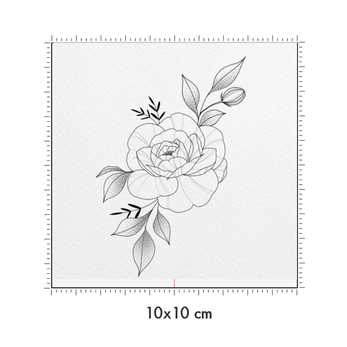 10 x 10 cm