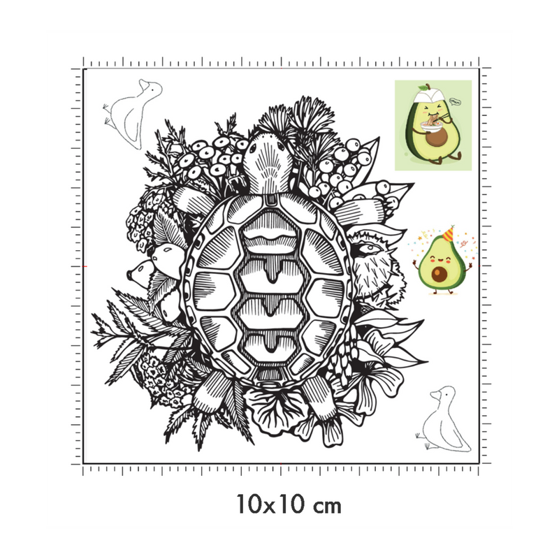 10 x 10 cm