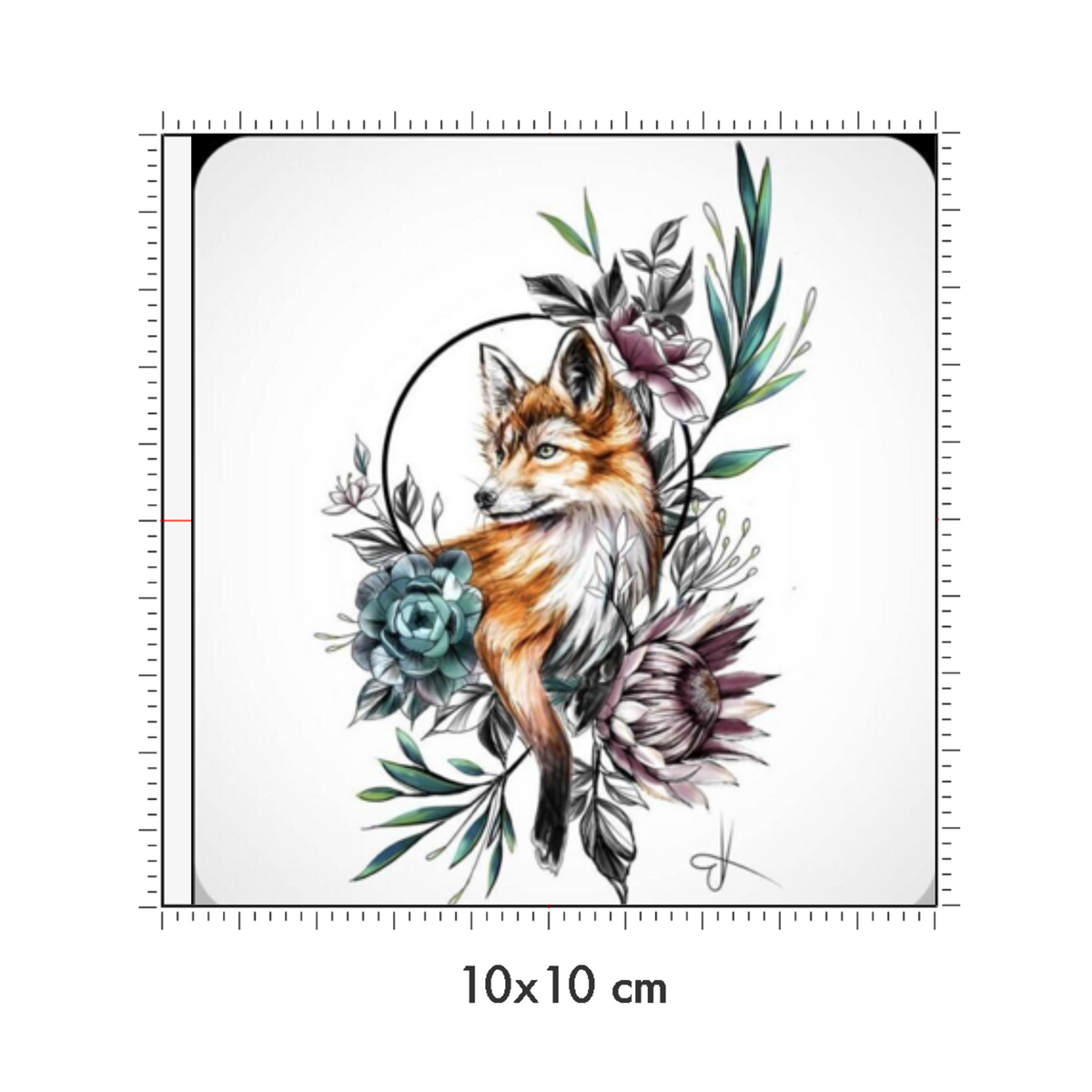 10 x 10 cm