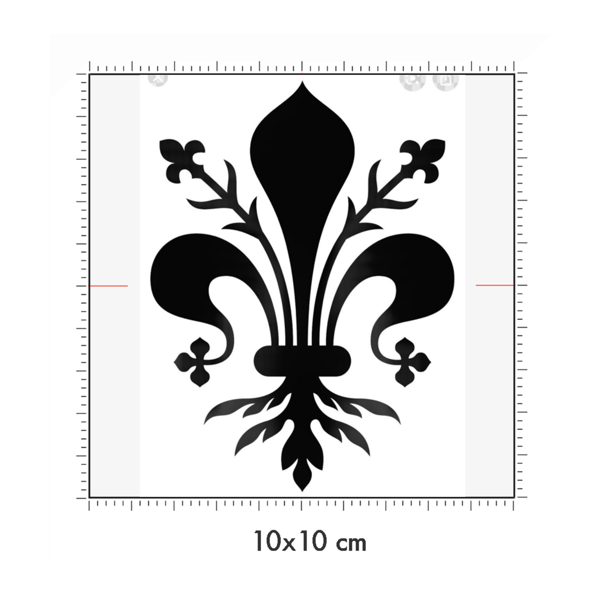 10 x 10 cm
