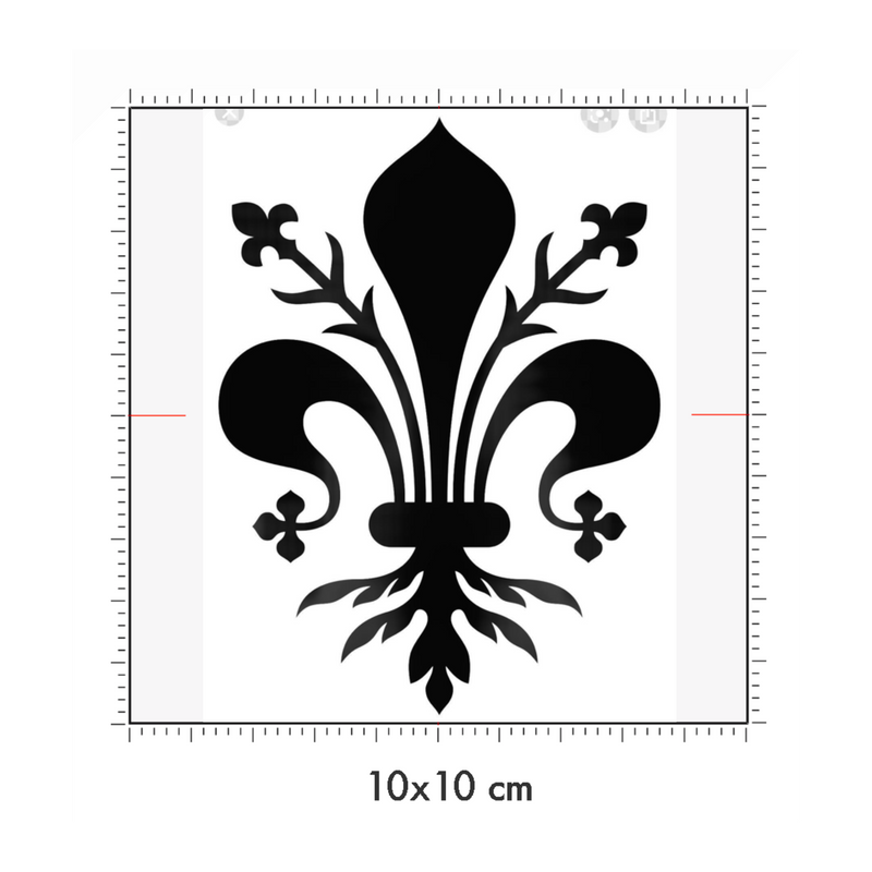 10 x 10 cm