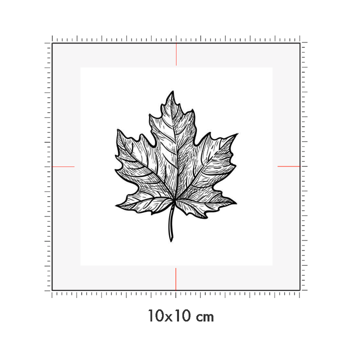 10 x 10 cm