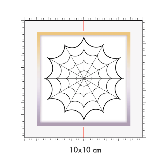 10 x 10 cm