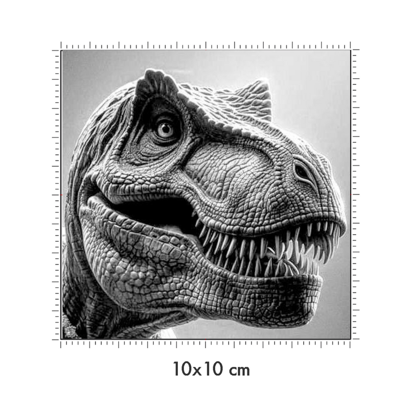 10 x 10 cm