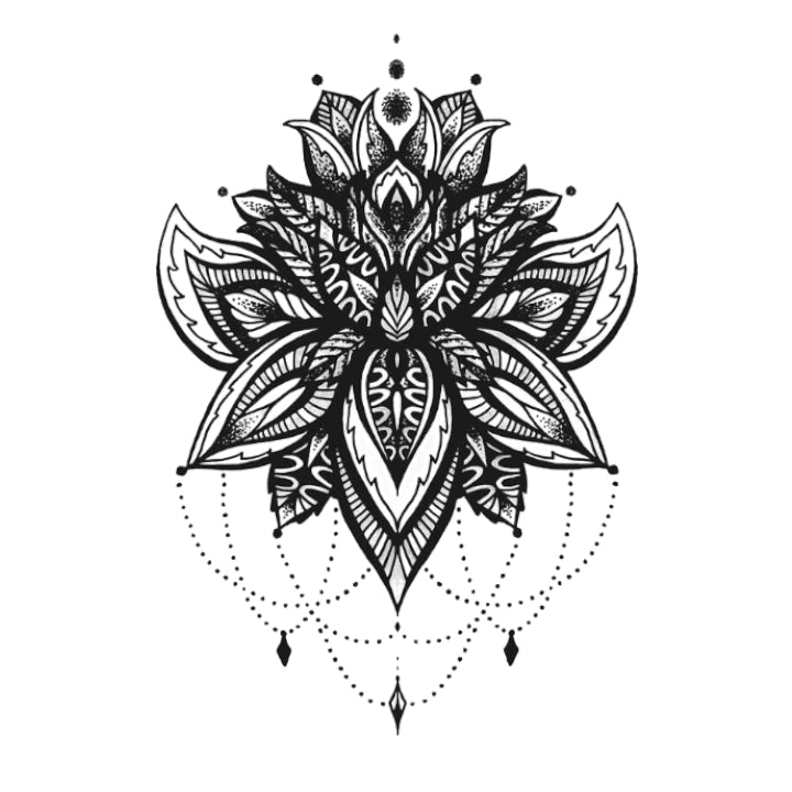 Lotus Bloom