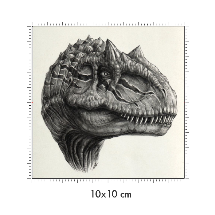 10 x 10 cm