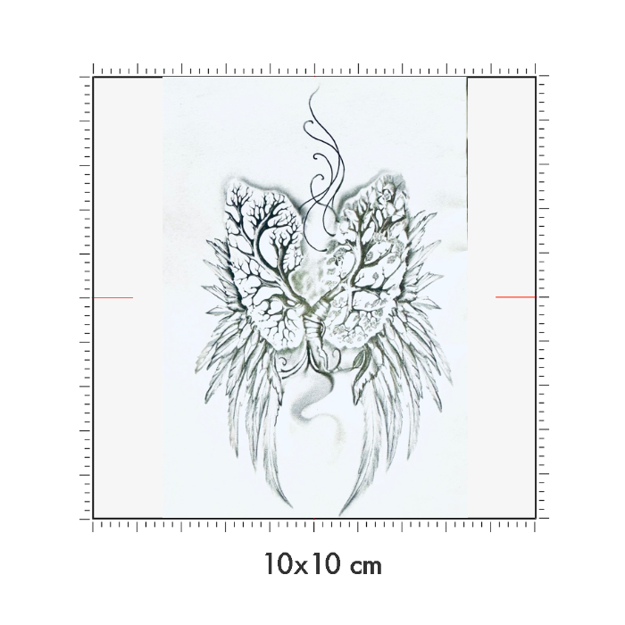 10 x 10 cm
