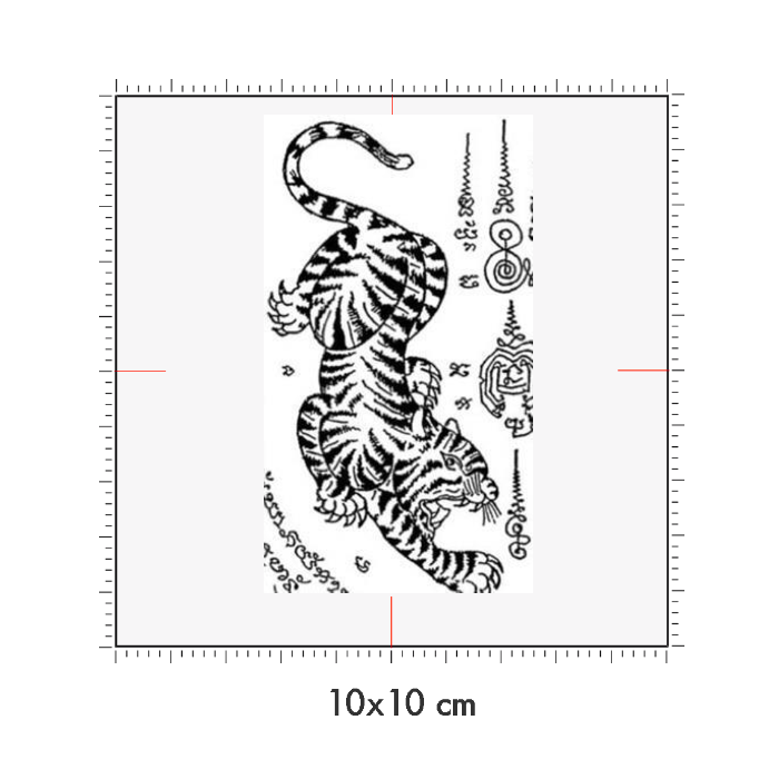10 x 10 cm