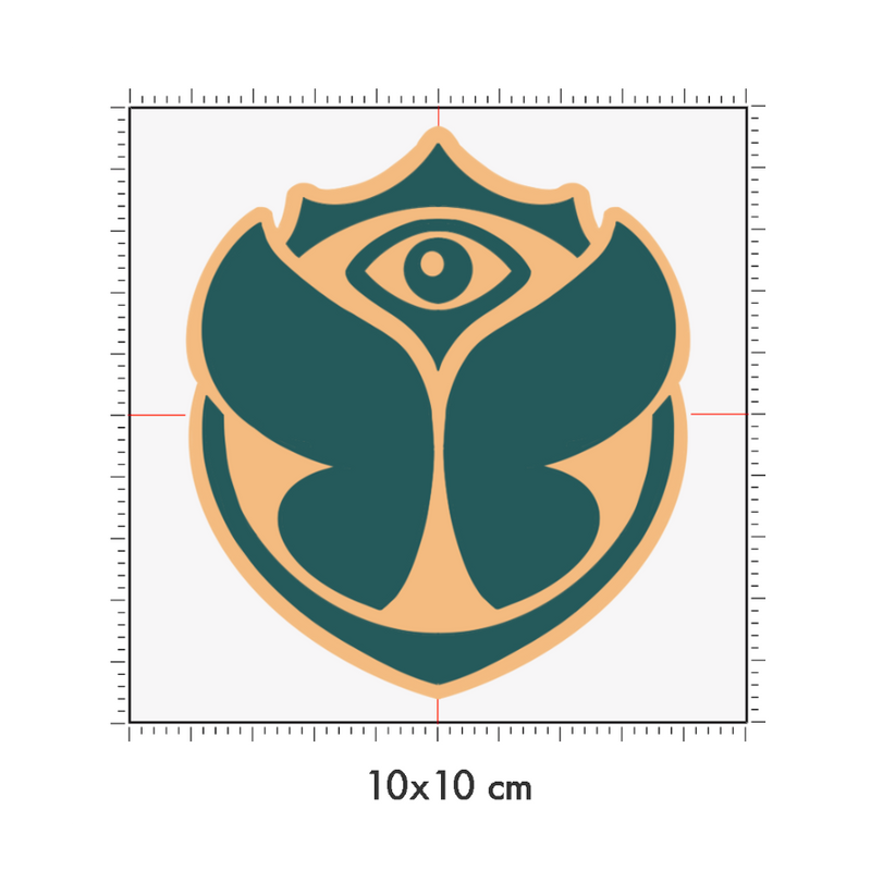 10 x 10 cm