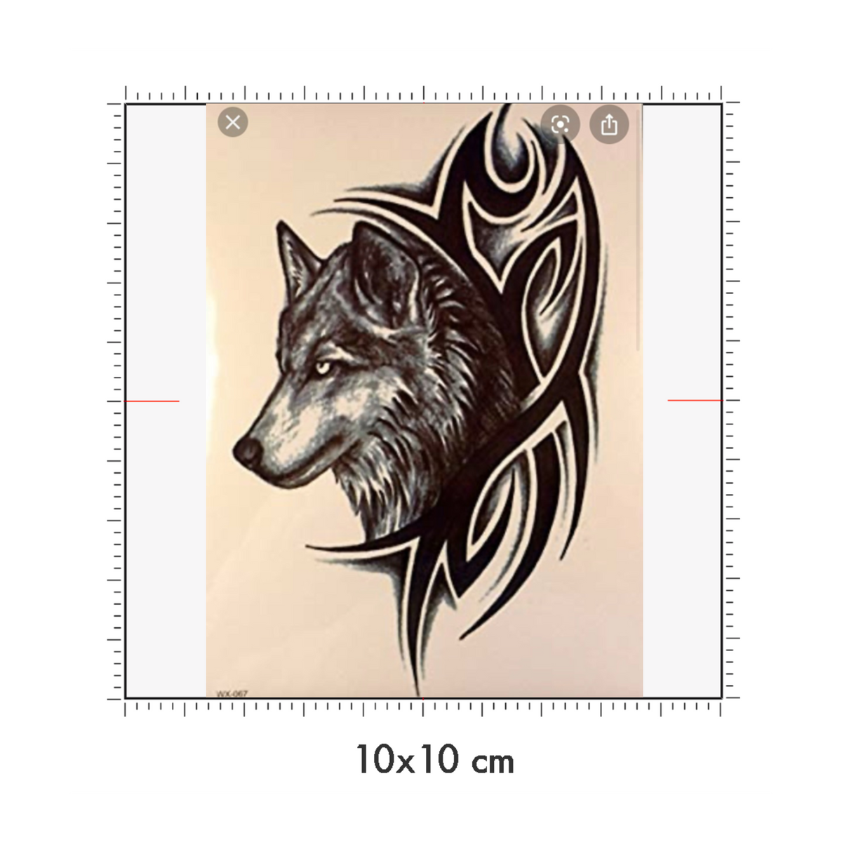 10 x 10 cm