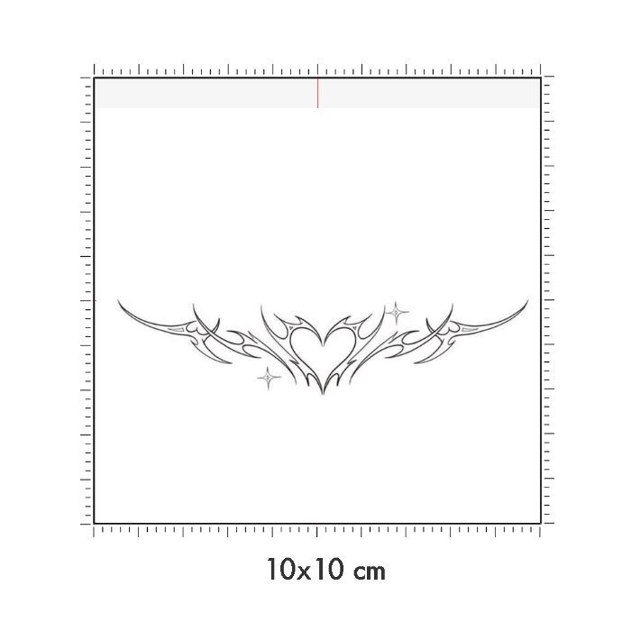 10 x 10 cm