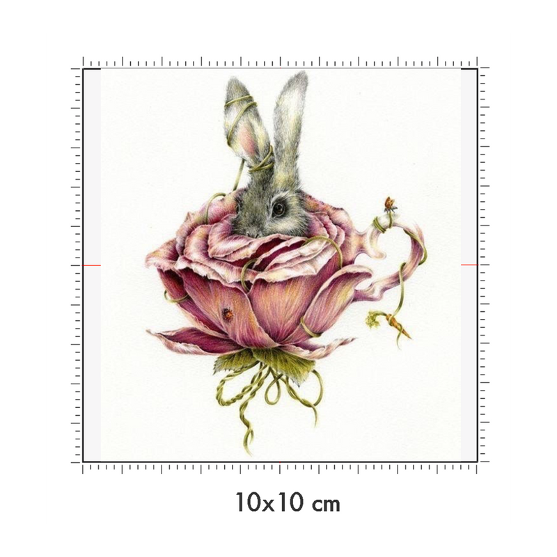10 x 10 cm