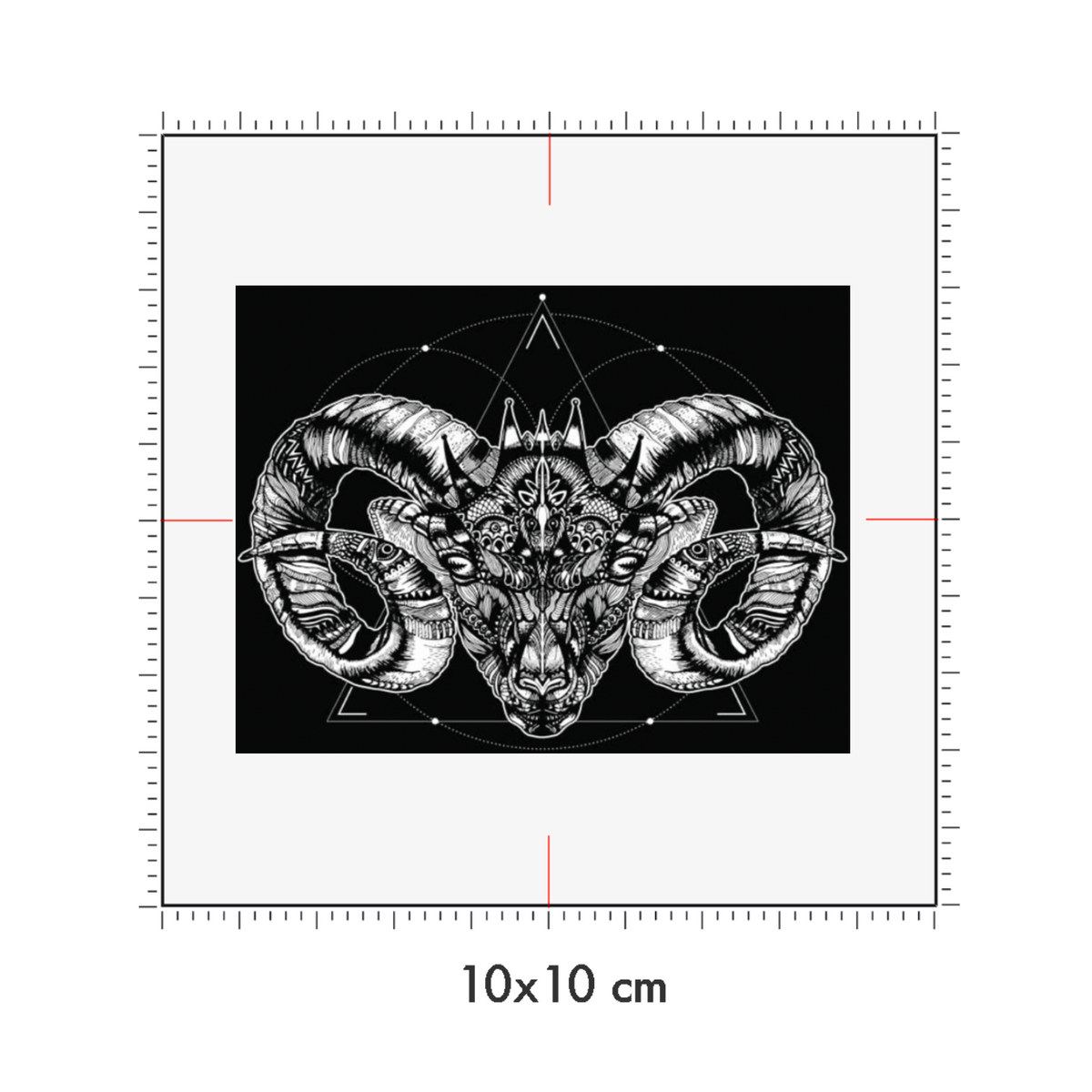 10 x 10 cm