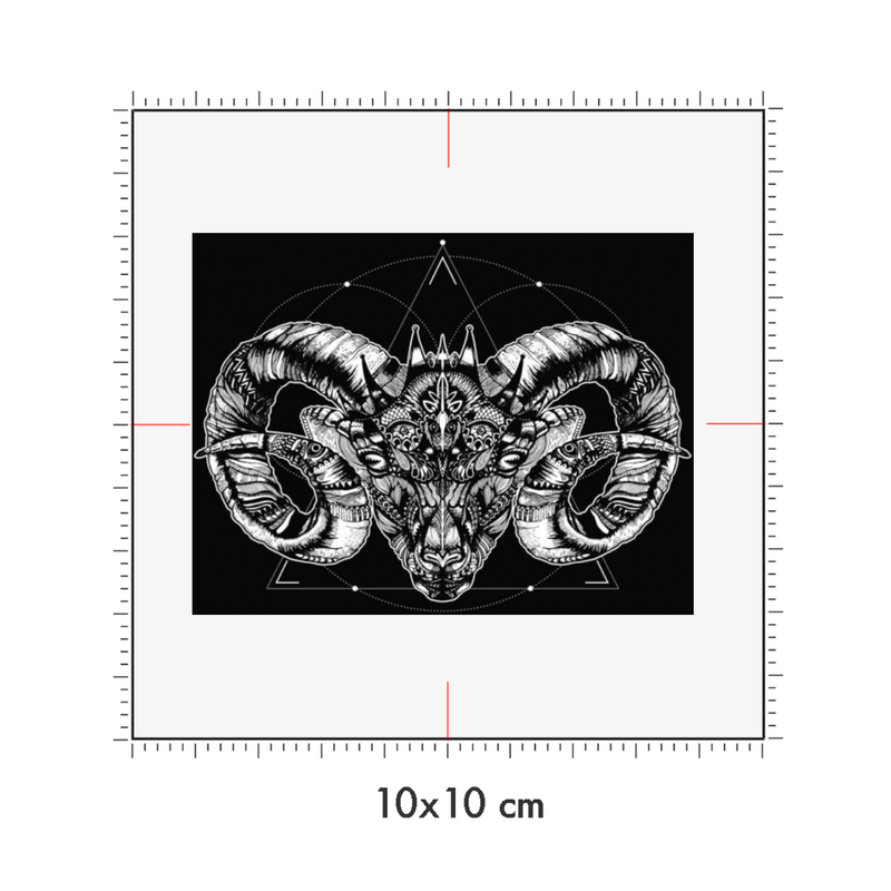 10 x 10 cm