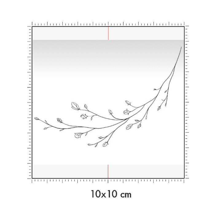 10 x 10 cm