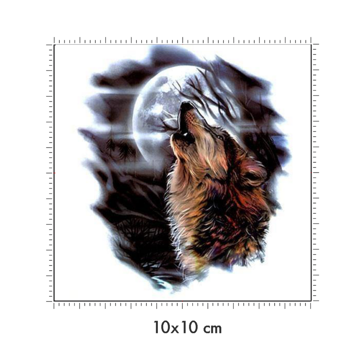 10 x 10 cm