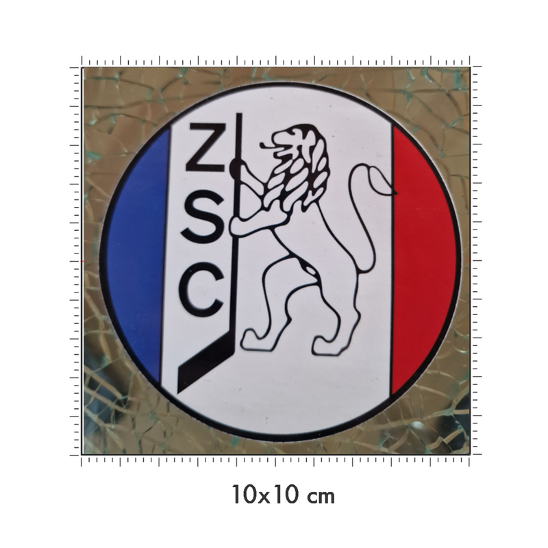 10 x 10 cm