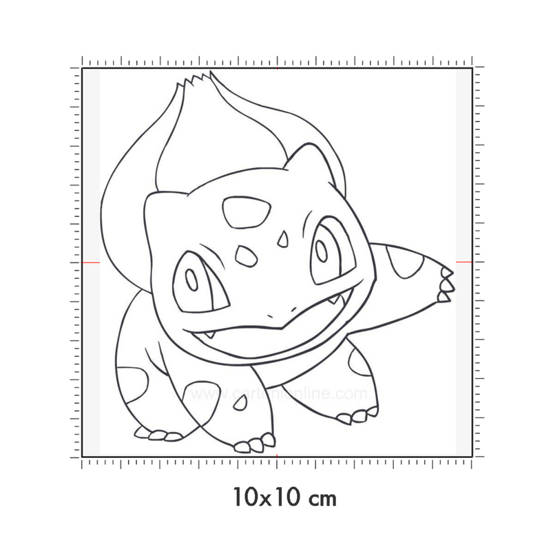 10 x 10 cm