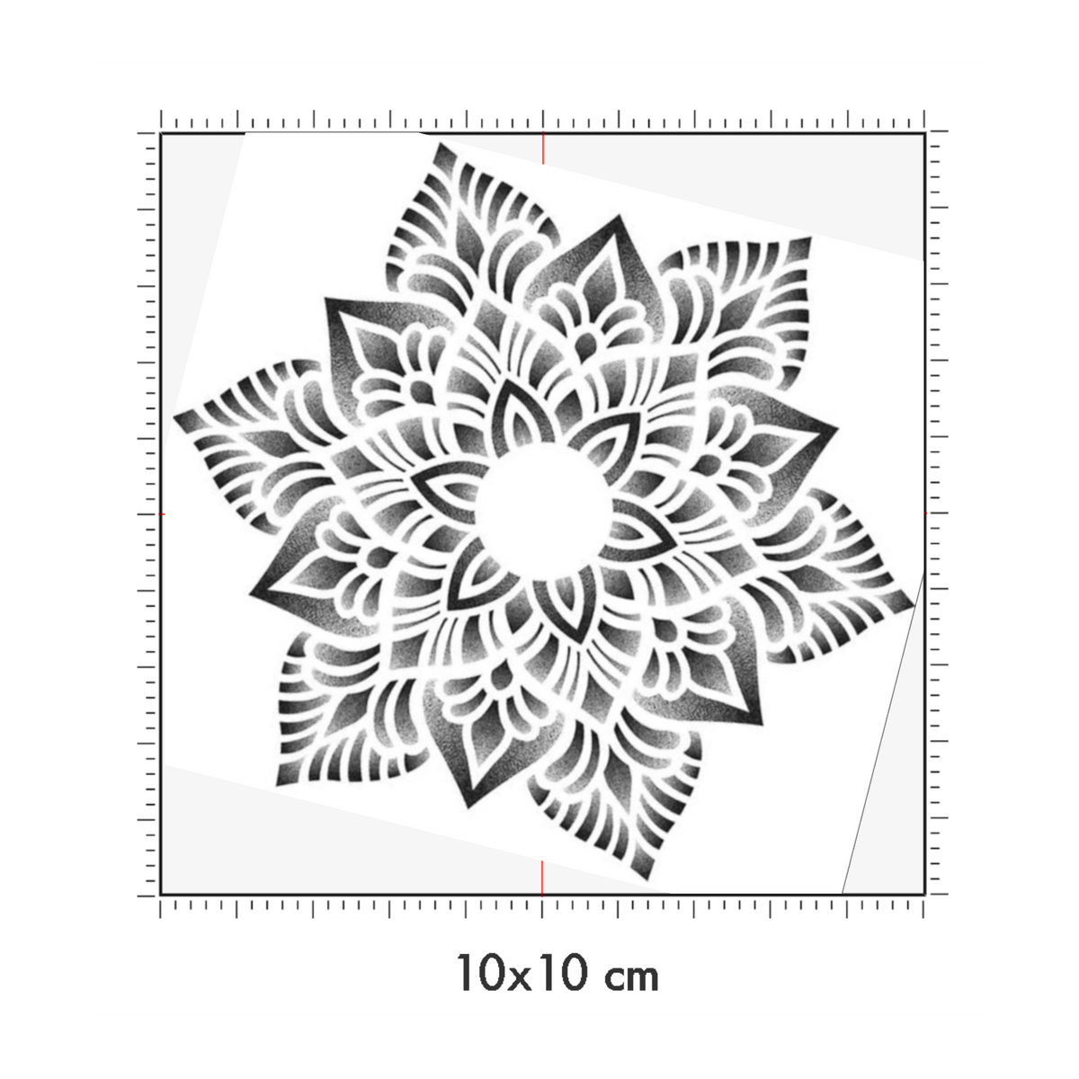10 x 10 cm