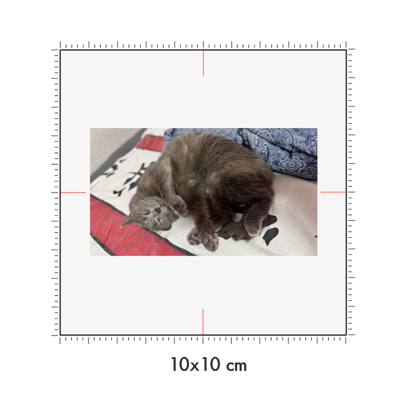 10 x 10 cm