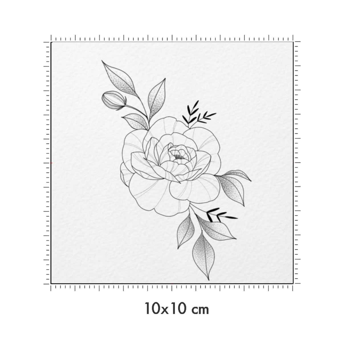 10 x 10 cm