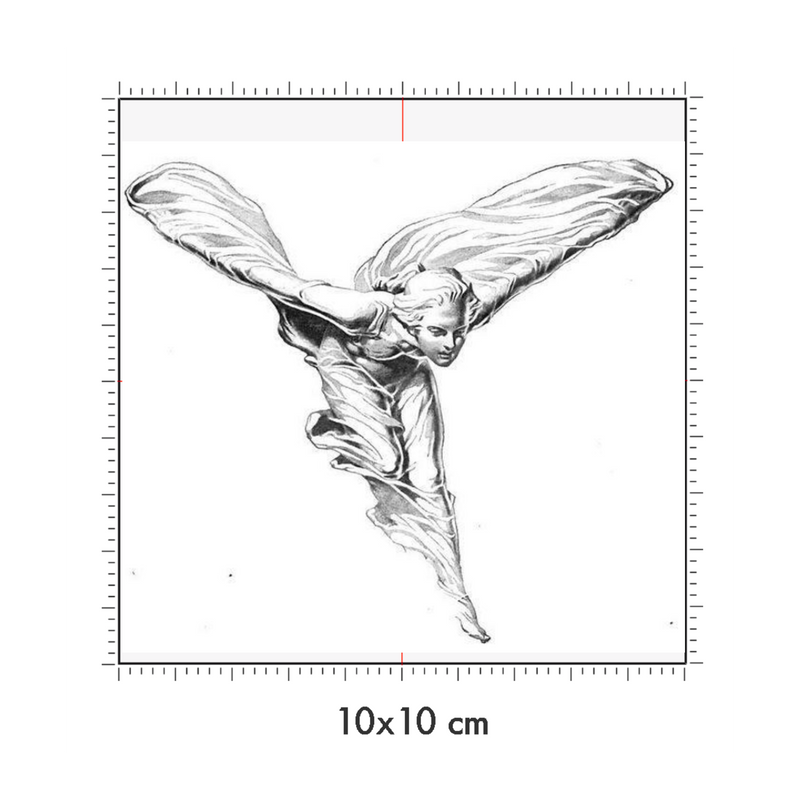 10 x 10 cm