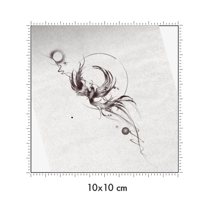 10 x 10 cm