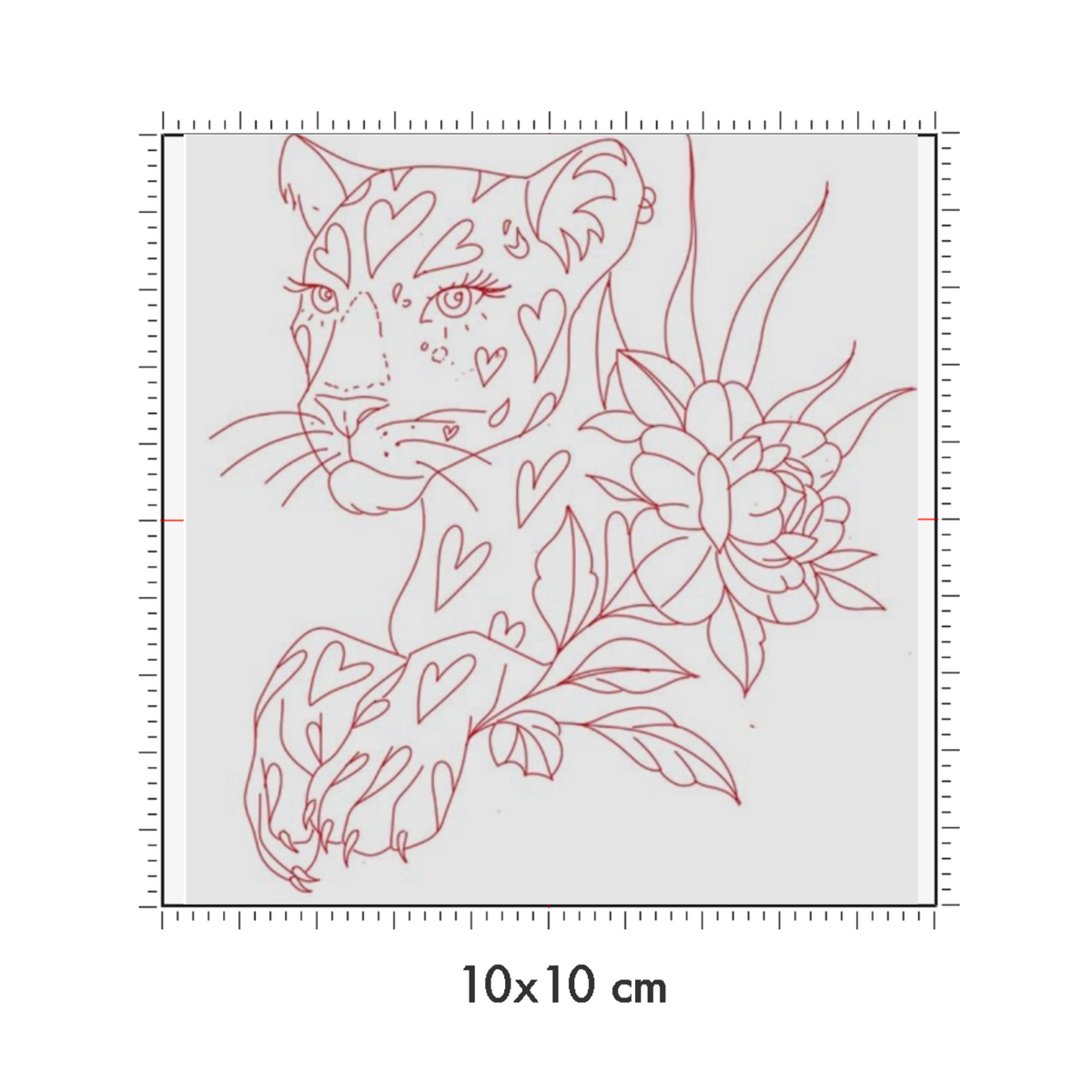 10 x 10 cm