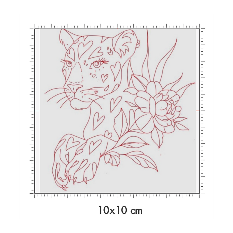 10 x 10 cm
