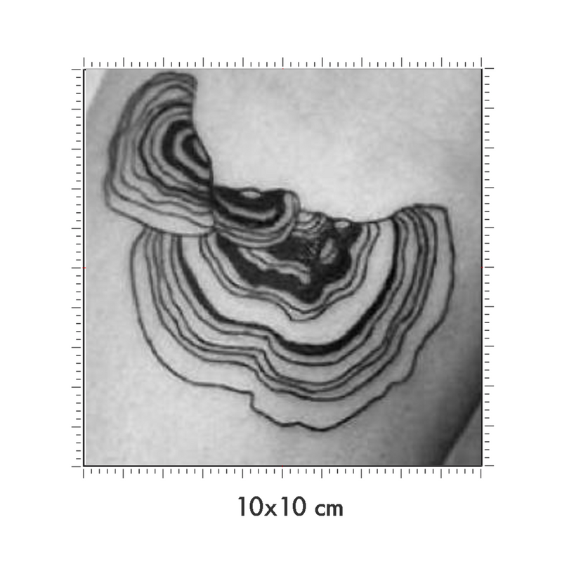 10 x 10 cm