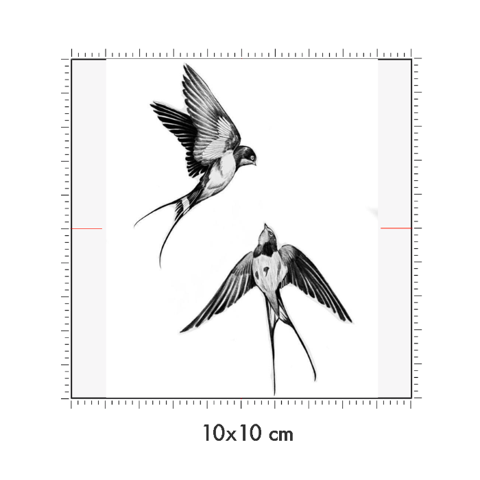 10 x 10 cm